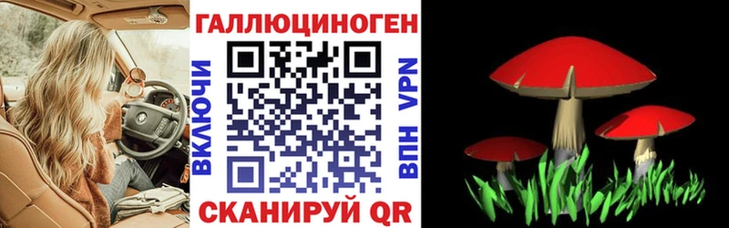 купить наркоту  Цивильск  Галлюциногенные грибы Psilocybine cubensis 